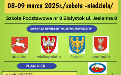 Półfinał Ogólnopolskiej Olimpiady Młodzieży w piłce ręcznej chłopców w Białymstoku